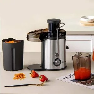 juice extractor